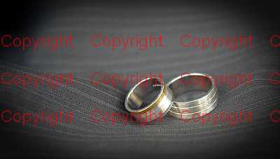 photographer Canterbury