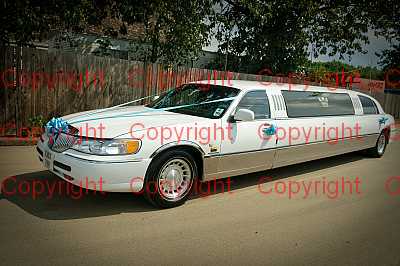 photographer Canterbury