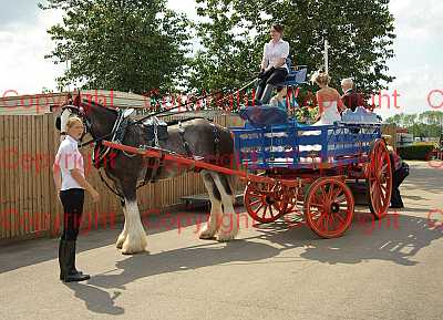 photographer Canterbury