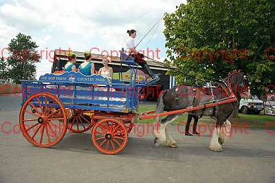 photographer Canterbury