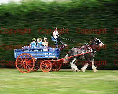 photographer Canterbury