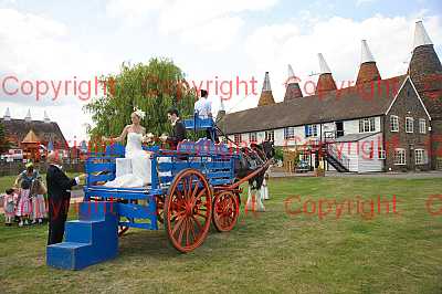 photographer Canterbury