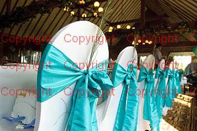 photographer Canterbury