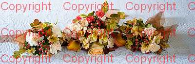 photographer Canterbury