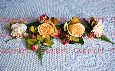 photographer Canterbury