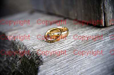 photographer Canterbury