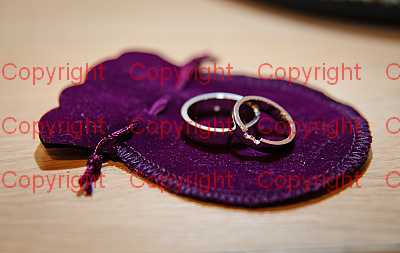 photographer Canterbury