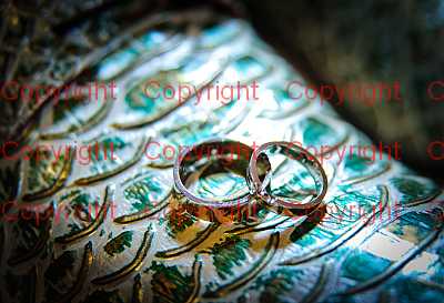 photographer Canterbury