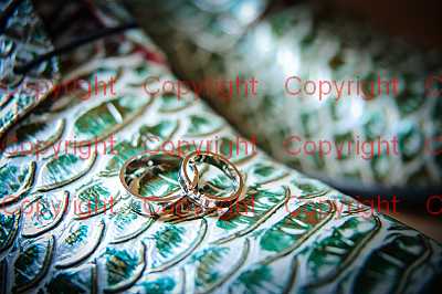 photographer Canterbury