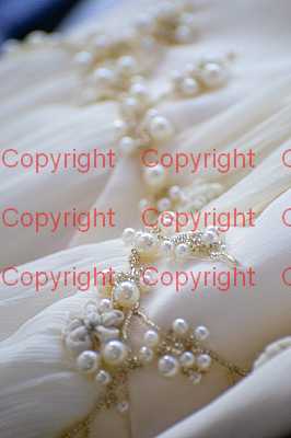 photographer Canterbury