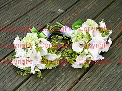 photographer Canterbury