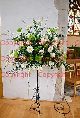 photographer Canterbury