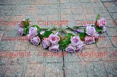 photographer Canterbury