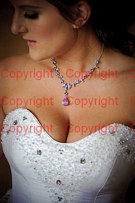 photographer Canterbury