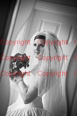 photographer Canterbury