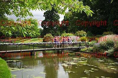 photographer Canterbury