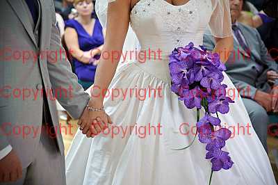 photographer Canterbury