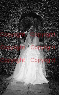 photographer Canterbury