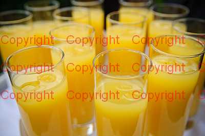 photographer Canterbury