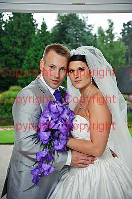 photographer Canterbury