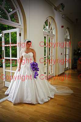 photographer Canterbury