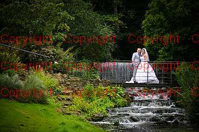 photographer Canterbury