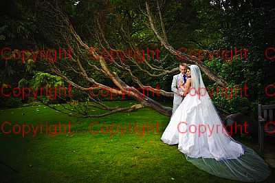 photographer Canterbury