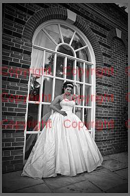 photographer Canterbury