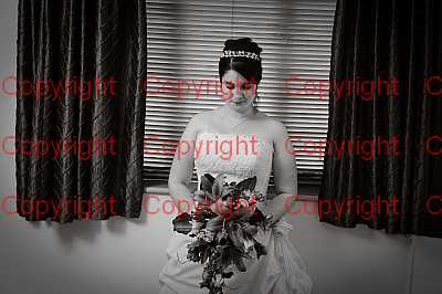 photographer Canterbury