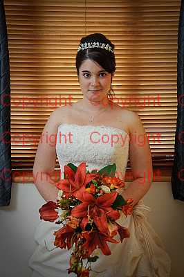 photographer Canterbury