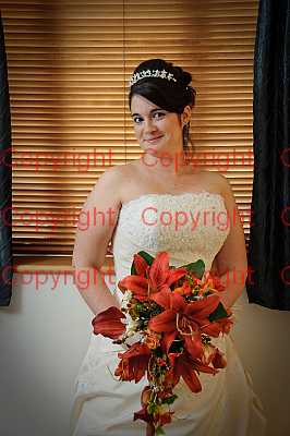 photographer Canterbury