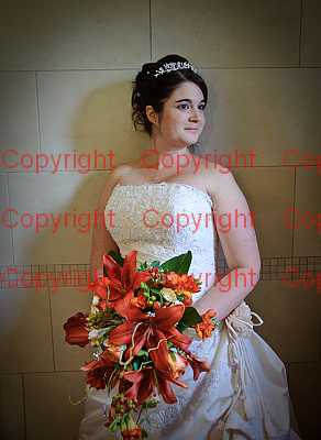 photographer Canterbury