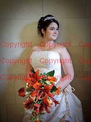 photographer Canterbury