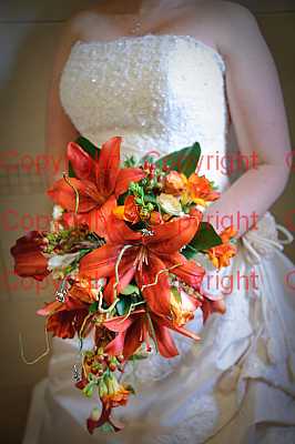 photographer Canterbury