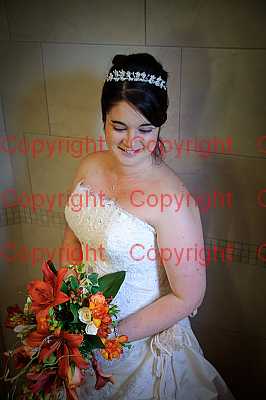 photographer Canterbury