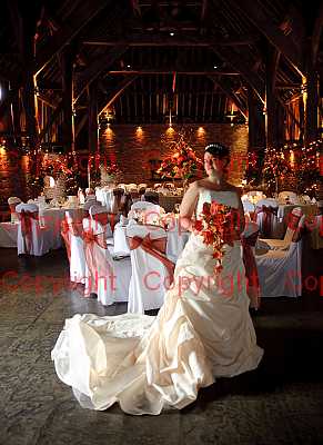 photographer Canterbury