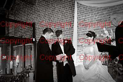 photographer Canterbury