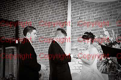 photographer Canterbury