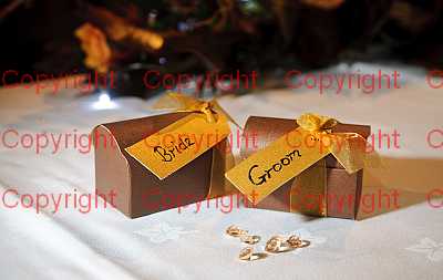 photographer Canterbury