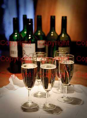 photographer Canterbury