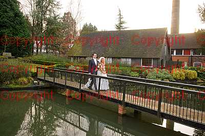 photographer Canterbury