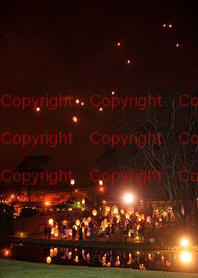 photographer Canterbury