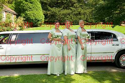 photographer Canterbury