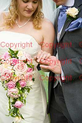 photographer Canterbury