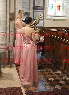 photographer Canterbury