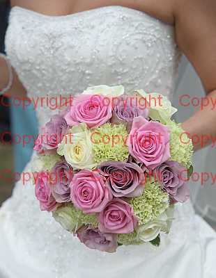 photographer Canterbury