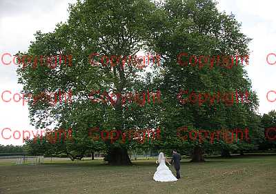 photographer Canterbury