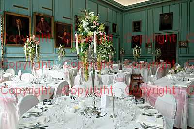 photographer Canterbury