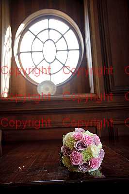 photographer Canterbury