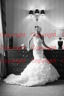 photographer Canterbury